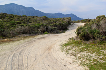 Sand road between the bushes