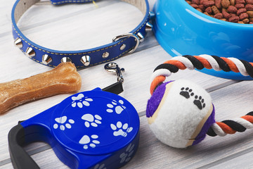 Leash, jugute, bone and bowl of dog food