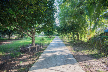 walkway in park