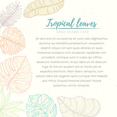 Hand drawn tropical palm leaves card