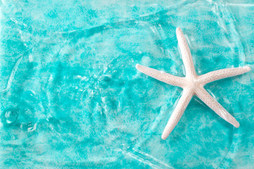 Fototapeta na wymiar Vacation concept with starfish ,seashells on blue water,summer holiday concept