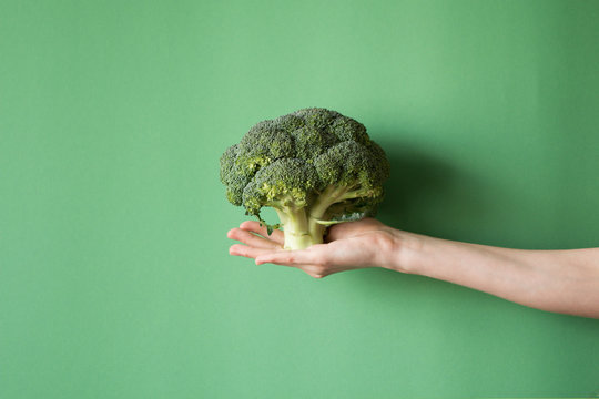 Raw broccoli in hand. Vegeterian food or diet concept.