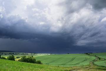 Approaching summer storm in the field