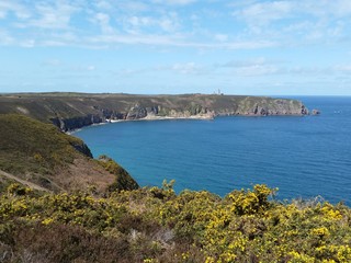 Fototapeta premium Cap Fréhel in spring, Brittany, France