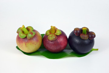 Mangosteens on white background.