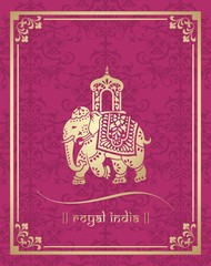 Elephant, festival , Jaipur, Royal Rajasthan, India, Asia