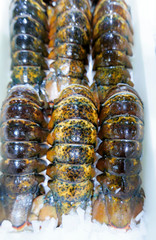 Fresh Lobster Tails