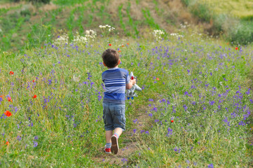 Happy boy play with airplane toy on meadow full of flowers. Little boy dreams to be a pilot one day and play with airplane