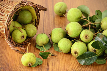 Basked of European wild pear.