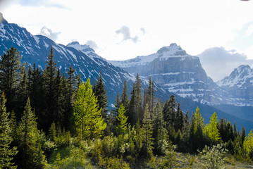 春のカナディアン・ロッキー　バンフ国立公園　アイスフィールド・パークウェイ沿いの山並み（カナダ）