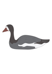 Goose wild isolated on white background art creative modern vector illustration Hunting logo