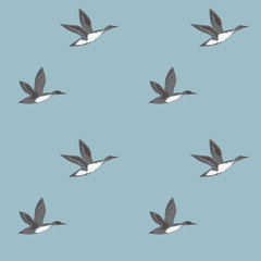 Pattern flying wild gray ducks on a light blue background art abstract creative modern vector illustration