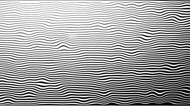 Zebra Line pattern Movement Animation Background. 4k. On a white background, in a circle. waves, black and white, morphing.