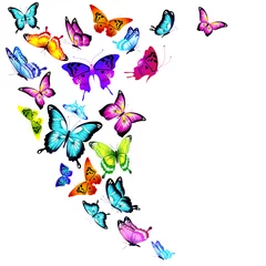 Stof per meter Vlinders mooie kleur vlinders, set, geïsoleerd op een witte