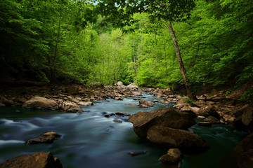 Wilderness Virginia Creek 