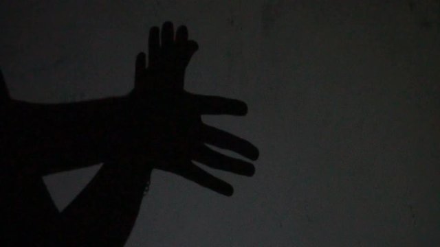 Hands gesture shadow like a bird on white background.