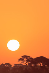 Sunset in Amboseli. Kenya, Africa
