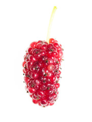 Mulberry berry on a white background