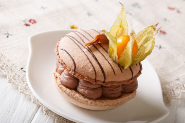 Elegant dessert: macaroon with chocolate cream decorated with physalis close-up. horizontal