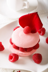 Raspberry macaroon with fresh berries and flower petals close up. vertical