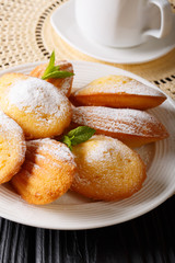 French breakfast: Madeleine cookies with mint and coffee close-up on the table. vertical