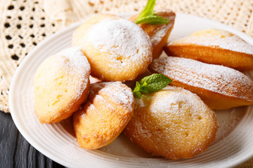 Beautiful cookies in the form of a shell with mint and powdered sugar close-up on a plate. horizontal