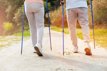Active aged couple using walking poles