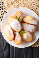 Madeleine biscuits with powdered sugar and mint closeup on a plate on the table. vertical top view