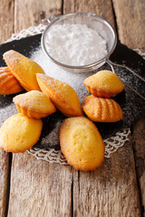 French cookies in the shape of a shell - Madeleine close-up on an table. vertical