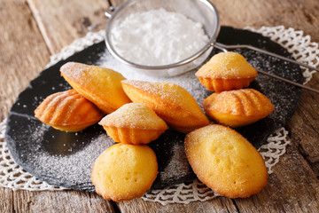 Classic biscuits madeleines with powdered sugar close-up on the board. horizontal