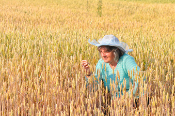 Naklejka na ściany i meble Older Woman enjoy in field of wheat. Portrait of happy senior woman in wheat fields