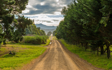 Fototapeta na wymiar Otago, New Zealand