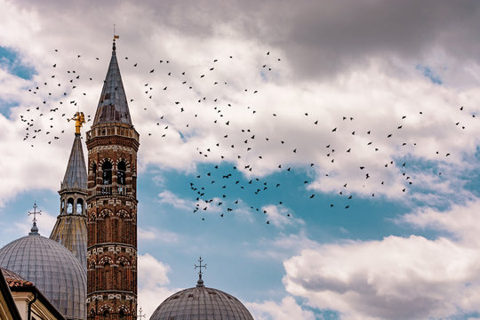 padova