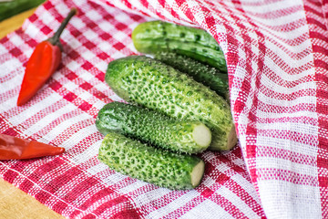 Fresh green cucumbers and chilli on kitchen plaid towel. Preparation for salting