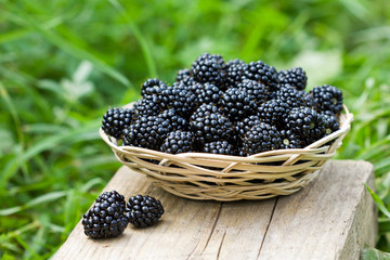 blackberries in a basket on a background of green grass © lenafomichewa