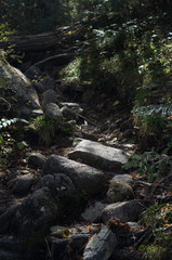 Naklejka na ściany i meble 登山道