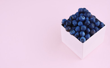 Fresh picked blueberries on pink trendy background.