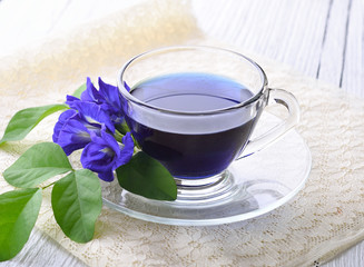 Blue pea tea on white wooden background