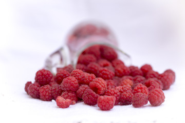 The raspberry is the edible fruit of a multitude of plant species in the genus Rubus of the rose family, most of which are in the subgenus Idaeobatus; the name also applies to these plants themselves.