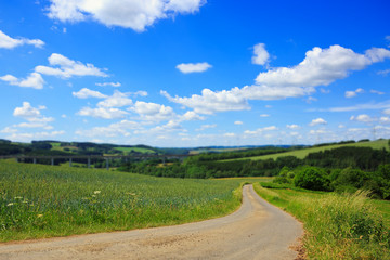 Fototapeta na wymiar Road with wheat field and blue sky .