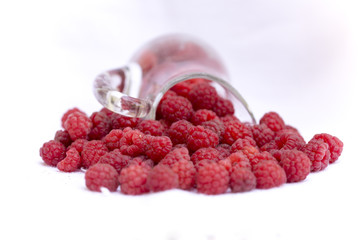 The raspberry is the edible fruit of a multitude of plant species in the genus Rubus of the rose family, most of which are in the subgenus Idaeobatus; the name also applies to these plants themselves.
