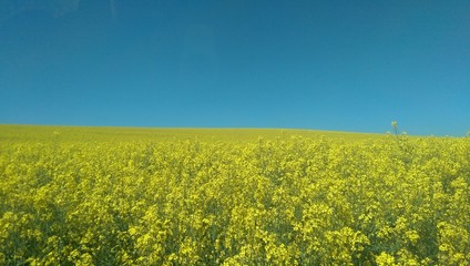 Obraz premium landscape, sky,