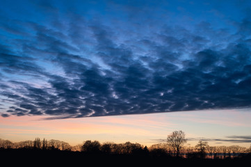 Sunset, deep blue clouds and pink sky. Some tree silhouettes