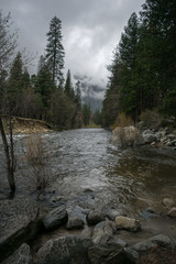 Yosemite stream