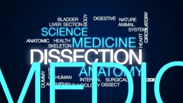 Dissection animated word cloud, text design animation.