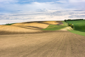 Freshly sown agriculture ground with wavy meadows