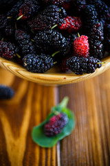 Ripe berry of black mulberry