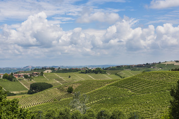 Fototapeta na wymiar View on Piedmont from Neive