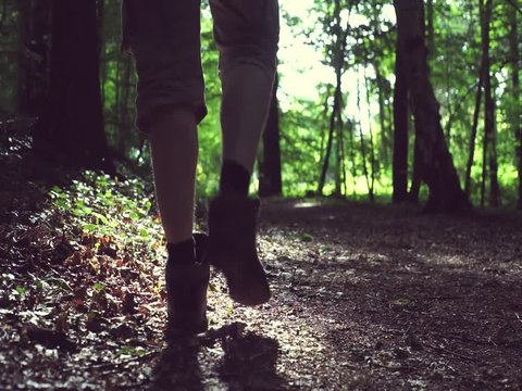 Wanderer in einem Wald 