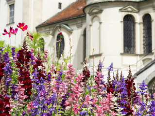 Greeting Card with colorful flower and church. Beautiful summer flowers.